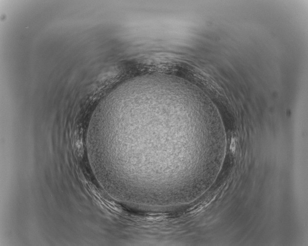 X0000087330771200704271452