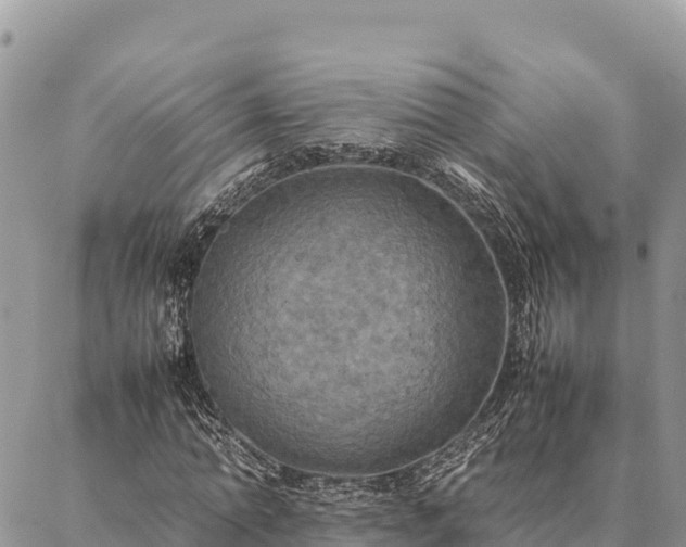 X0000087330774200704271451