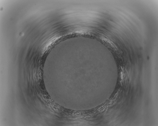 X0000087330776200704271451