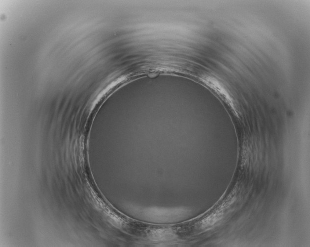 X0000087330798200704271451