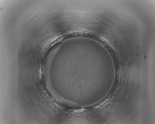 X0000087330822200704271450