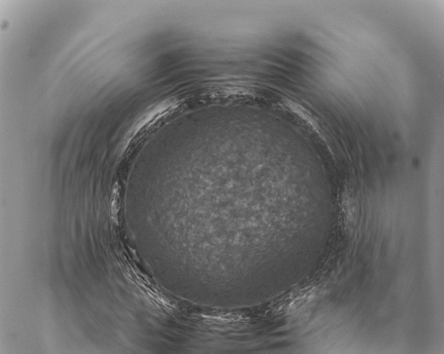 X0000087330823200704271450