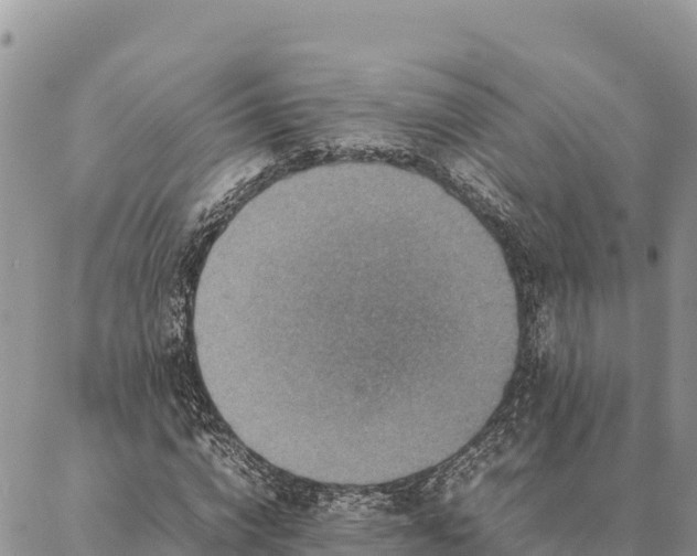 X0000087330824200704271450