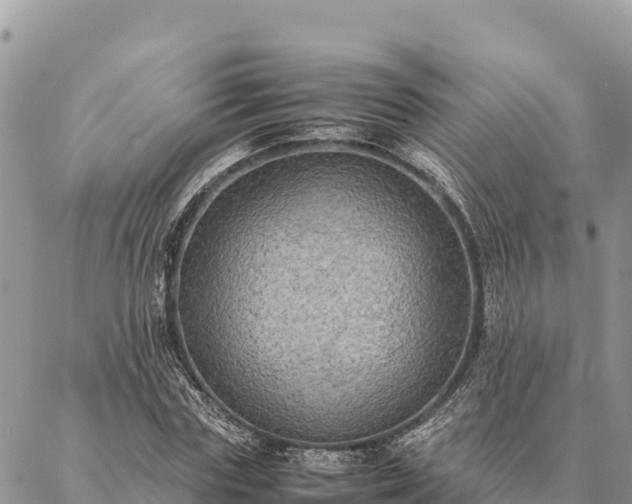 X0000087330827200704271450