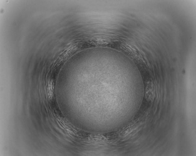X0000087330866200704271450