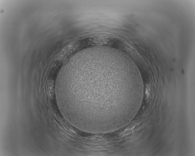 X0000087330867200704271450