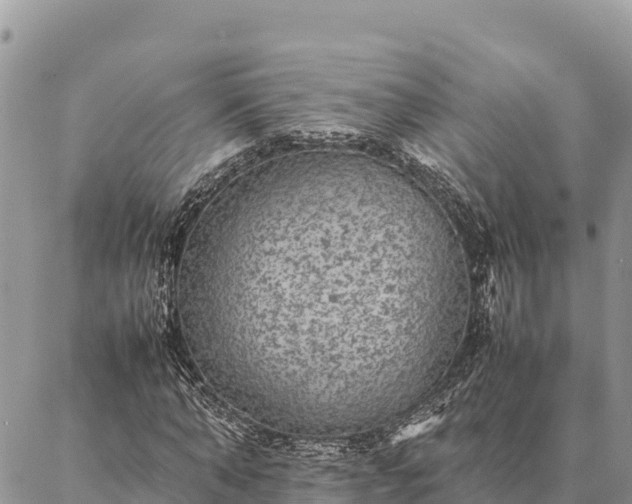 X0000087330870200704271450
