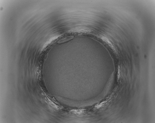 X0000087330872200704271450