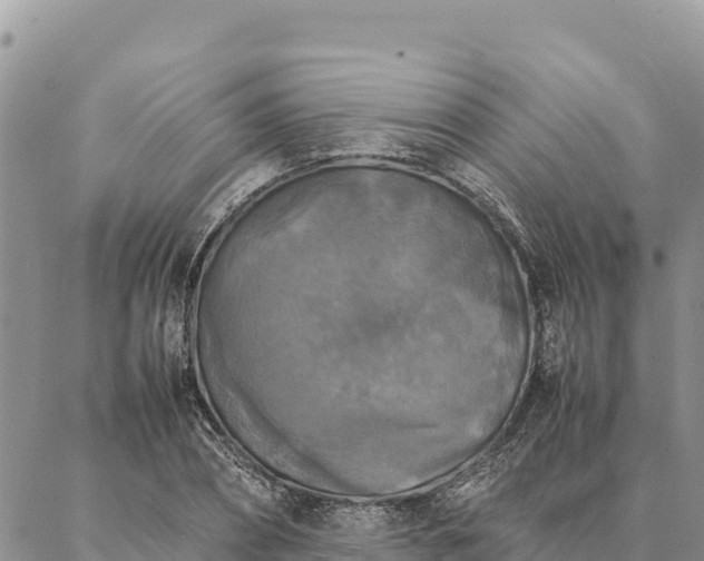 X0000087330882200704271450
