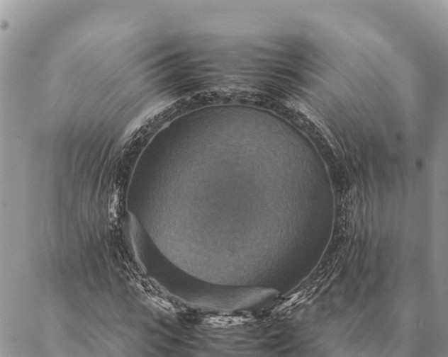 X0000087330919200704271449