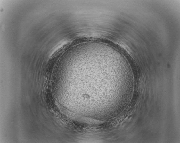 X0000087330967200704271448