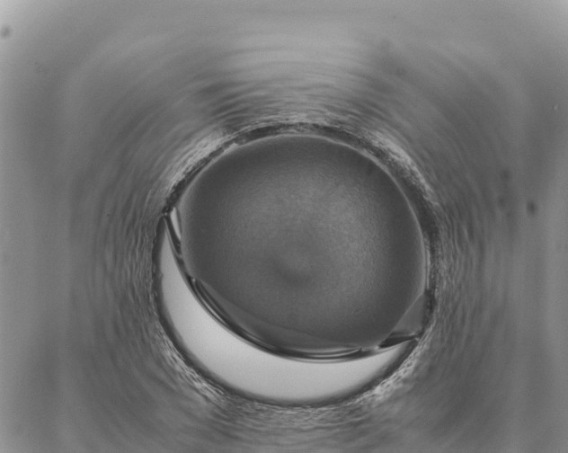X0000087330977200704271448