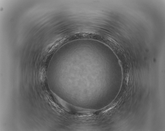 X0000087331014200704271447
