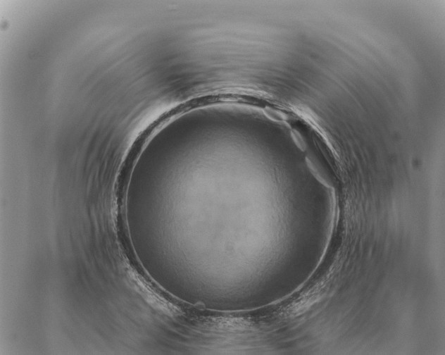X0000087331024200704271447