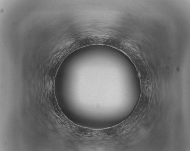 X0000087331061200704271447