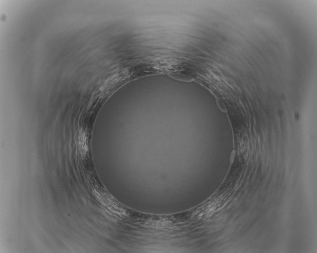 X0000087331106200704271445
