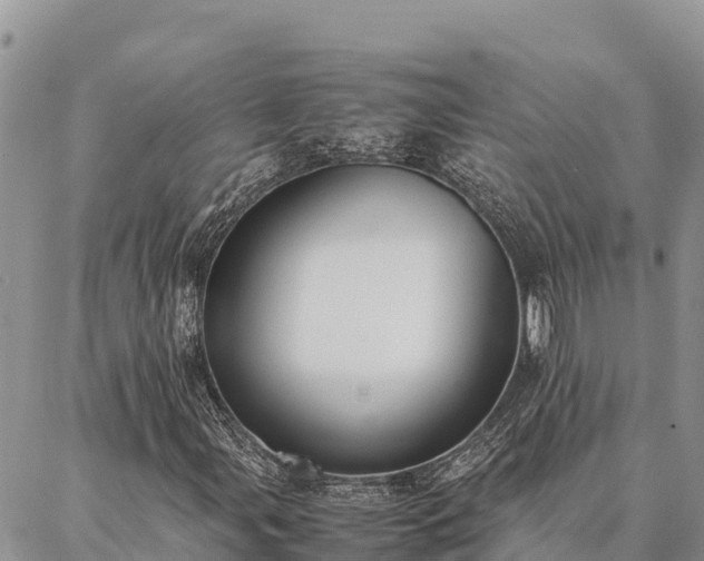 X0000087331107200704271445