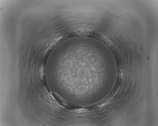 X0000087331108200704271445