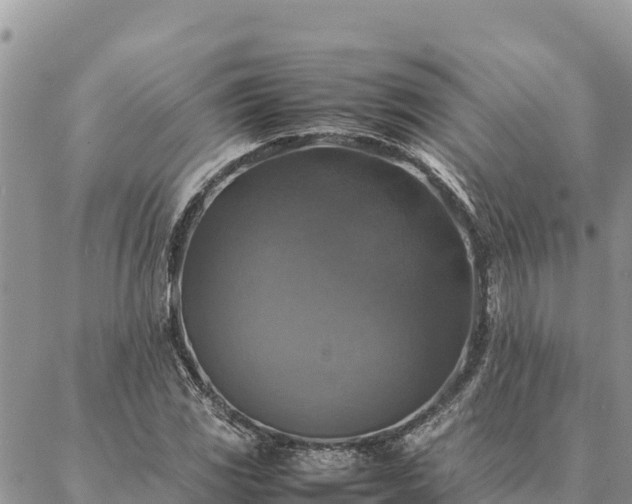 X0000087331117200704271446