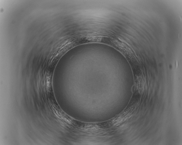 X0000087331154200704271445