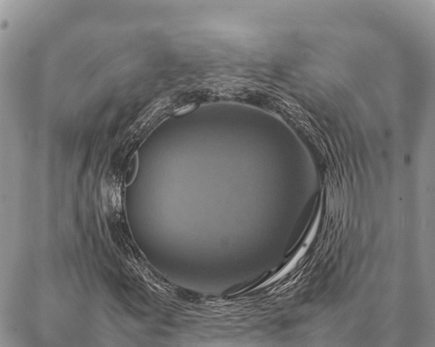 X0000087331155200704271445