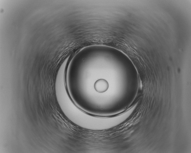 X0000087331202200704271444