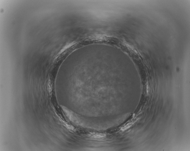 X0000087331206200704271444