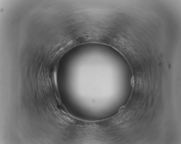 X0000087331250200704271444