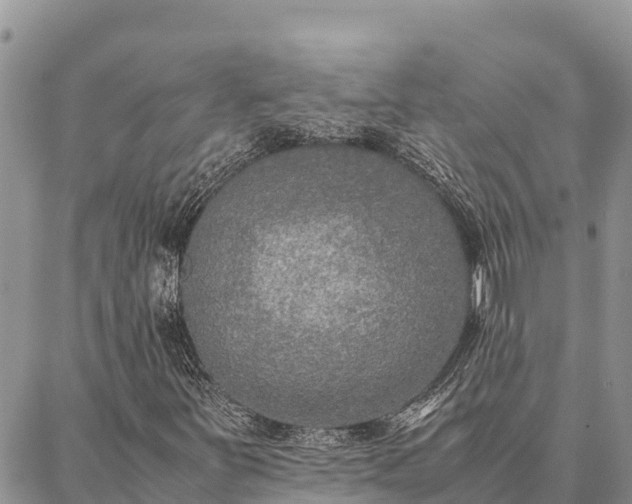 X0000087331251200704271444