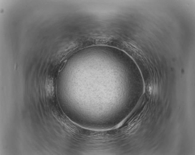 X0000087331252200704271444