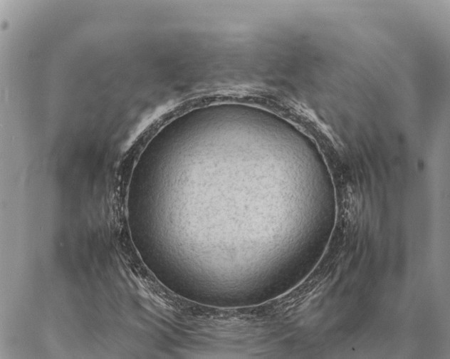X0000087331256200704271444