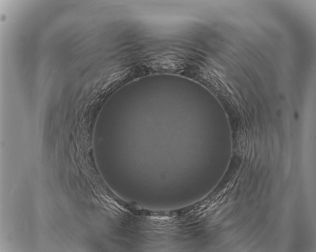X0000087331297200704271442