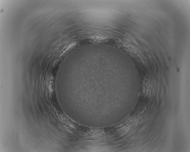 X0000087331346200704271442