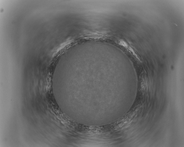 X0000087331350200704271442