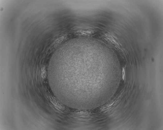 X0000087331395200704271441