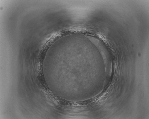 X0000087331398200704271441