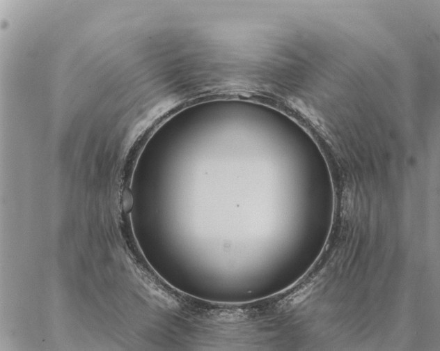 X0000087331410200704271441