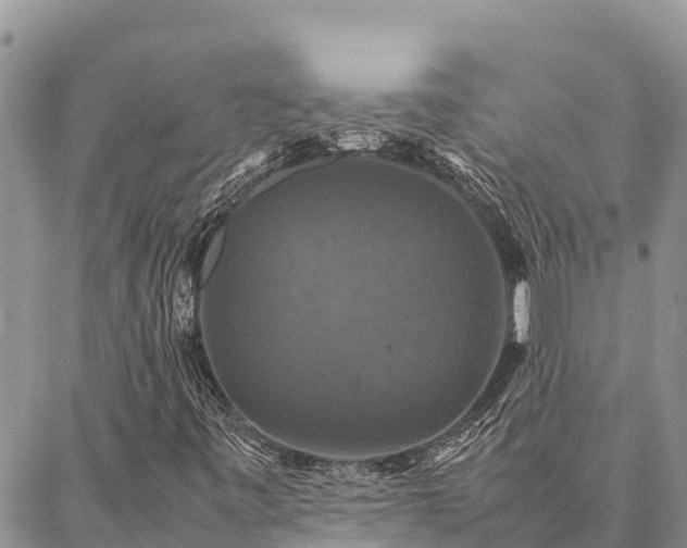 X0000087331443200704271441
