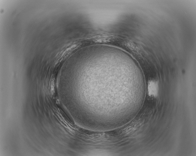 X0000087331444200704271441