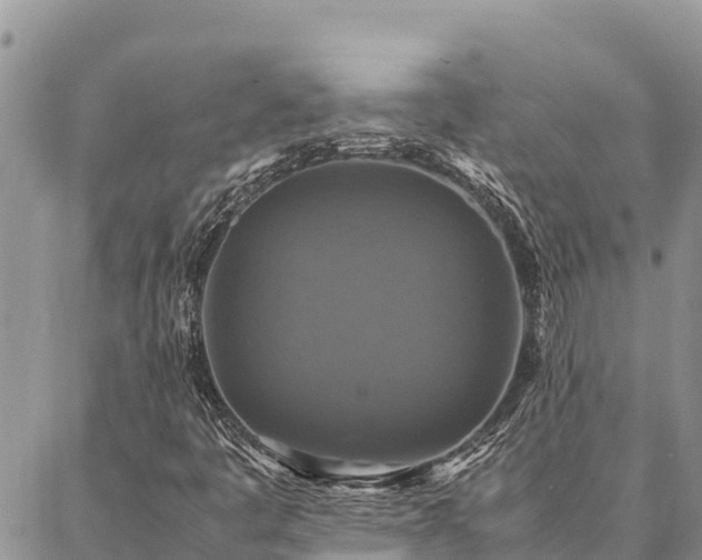 X0000087331445200704271441