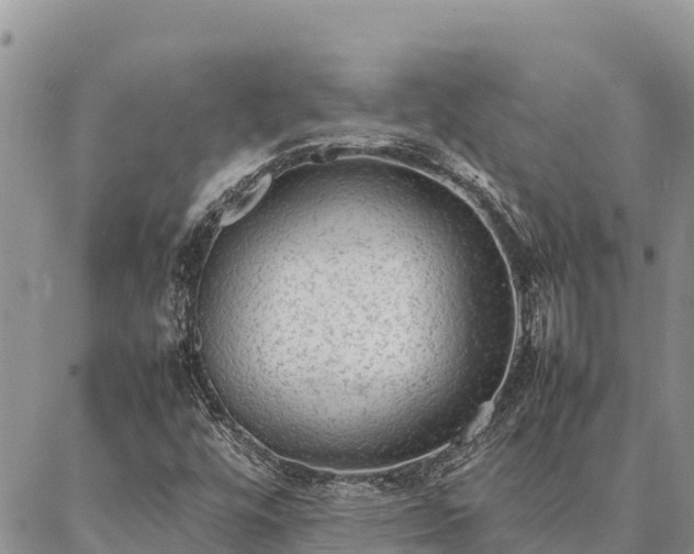X0000087331448200704271440