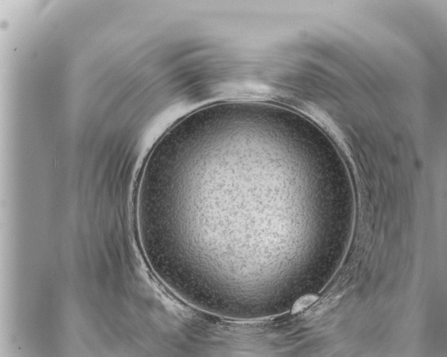 X0000087331488200704271440