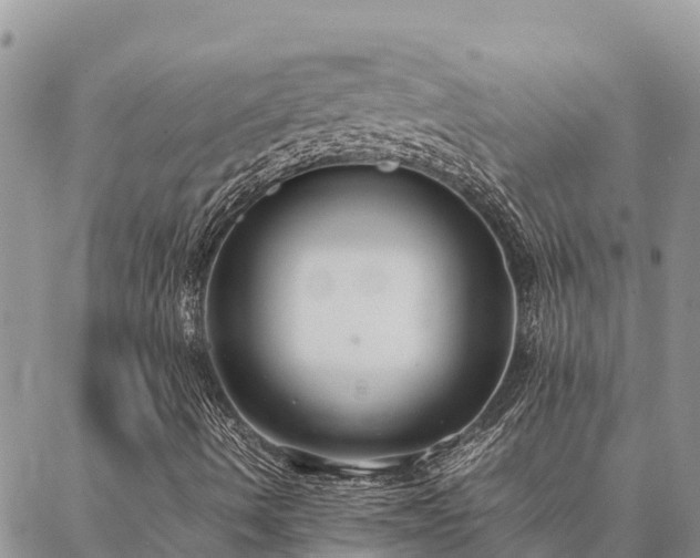 X0000087331490200704271439