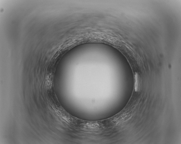 X0000087331491200704271439
