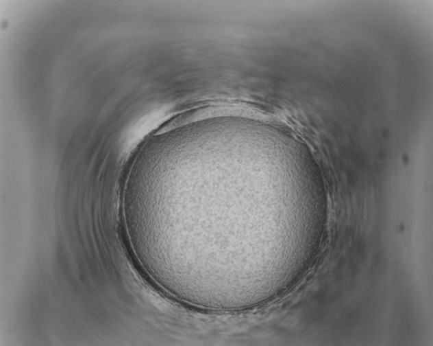 X0000087330005200705041751