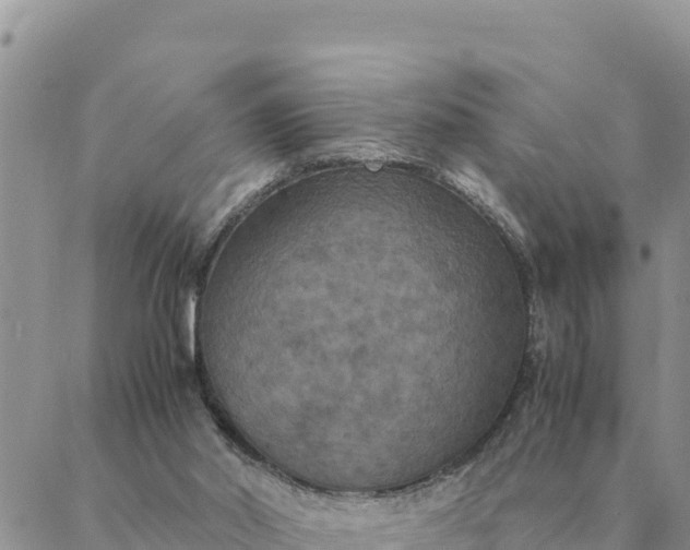 X0000087330014200705041751