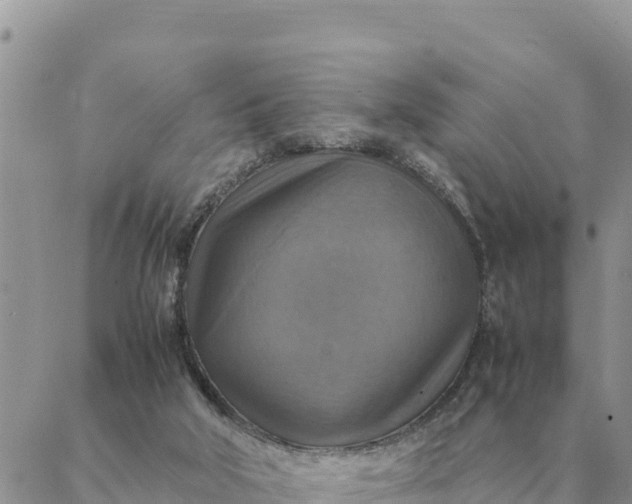 X0000087330018200705041751