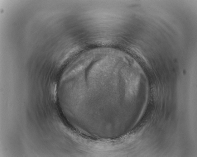X0000087330024200705041751
