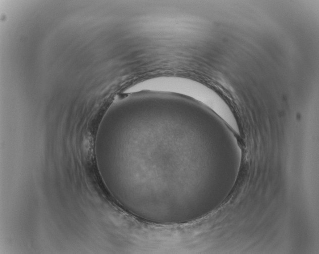 X0000087330029200705041751