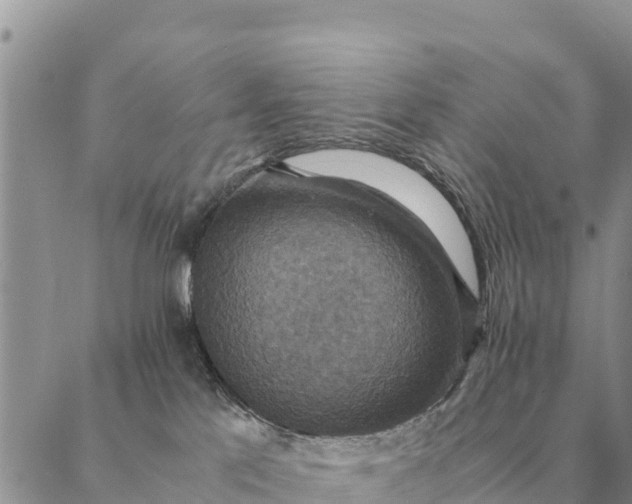 X0000087330041200705041750